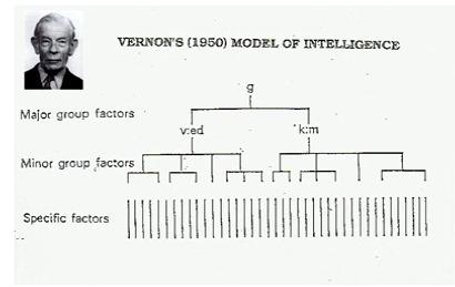 Vernon θεωρια νοημοσυνης iqtest