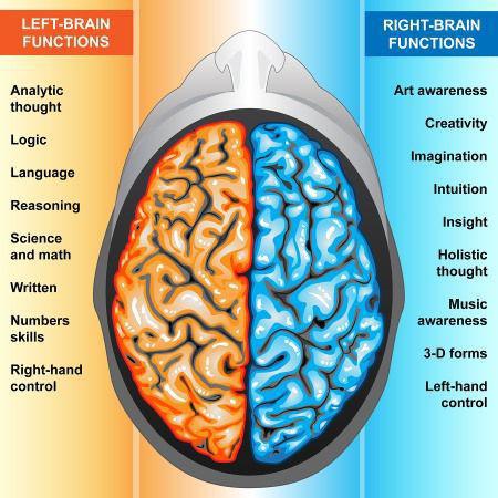 Λειτουργίες αριστερού και δεξιού ημισφαιρίου του εγκεφάλου.