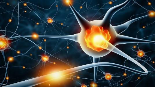 Ο ανθρώπινος εγκέφαλος αναπτύσσει νέα κύτταρα και μετά τα 80