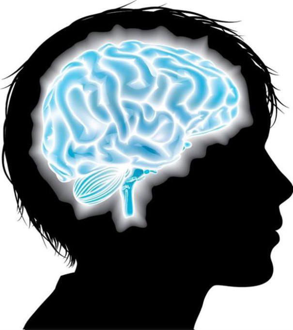 Ο εγκέφαλος των εφήβων δεν έχει αναπτυχθεί επαρκώς για να ξεχωρίζει τα ασήμαντα από τα σημαντικά.